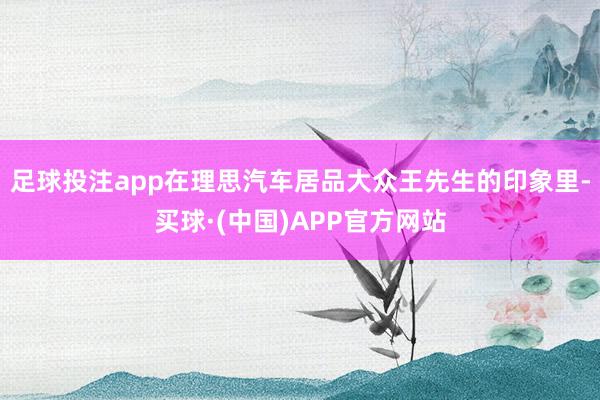 足球投注app在理思汽车居品大众王先生的印象里-买球·(中国)APP官方网站