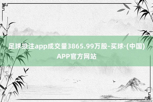 足球投注app成交量3865.99万股-买球·(中国)APP官方网站