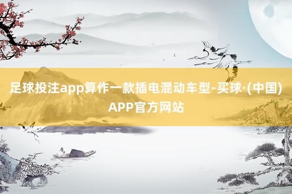 足球投注app算作一款插电混动车型-买球·(中国)APP官方网站