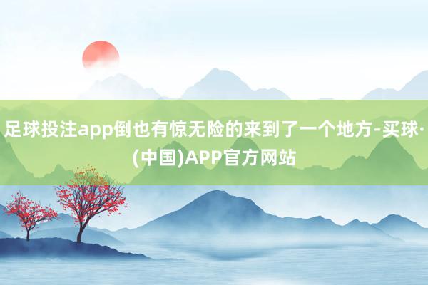 足球投注app倒也有惊无险的来到了一个地方-买球·(中国)APP官方网站