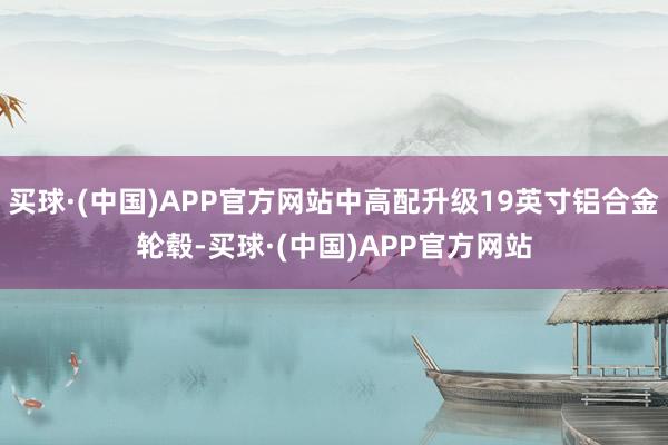 买球·(中国)APP官方网站中高配升级19英寸铝合金轮毂-买球·(中国)APP官方网站