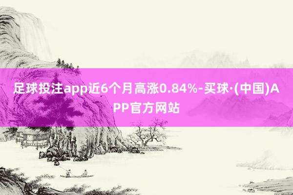 足球投注app近6个月高涨0.84%-买球·(中国)APP官方网站