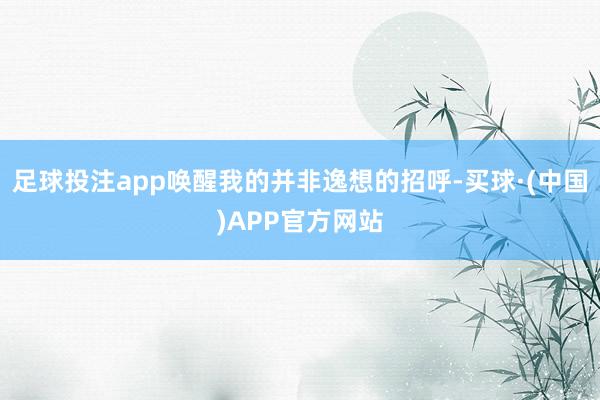 足球投注app唤醒我的并非逸想的招呼-买球·(中国)APP官方网站