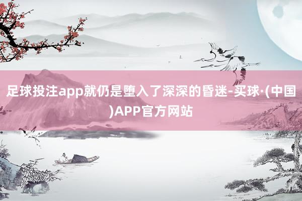 足球投注app就仍是堕入了深深的昏迷-买球·(中国)APP官方网站