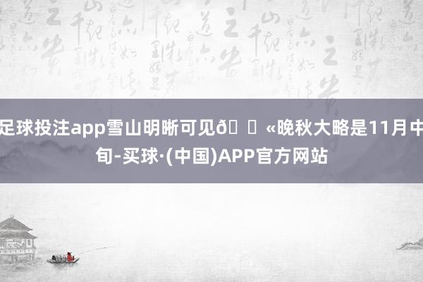 足球投注app雪山明晰可见💫晚秋大略是11月中旬-买球·(中国)APP官方网站