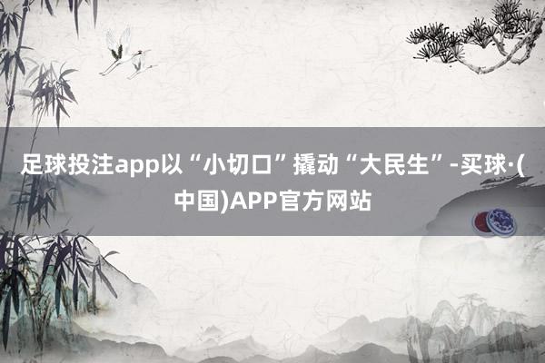 足球投注app以“小切口”撬动“大民生”-买球·(中国)APP官方网站