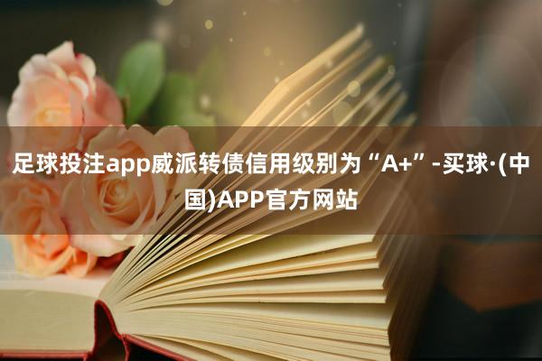 足球投注app威派转债信用级别为“A+”-买球·(中国)APP官方网站