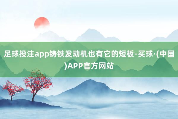 足球投注app铸铁发动机也有它的短板-买球·(中国)APP官方网站