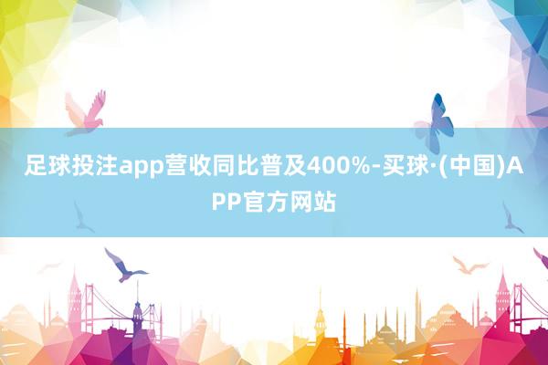 足球投注app营收同比普及400%-买球·(中国)APP官方网站