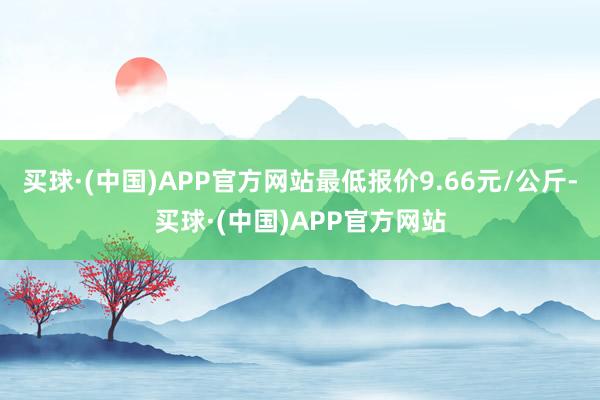 买球·(中国)APP官方网站最低报价9.66元/公斤-买球·(中国)APP官方网站