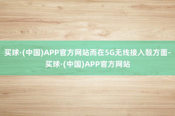 买球·(中国)APP官方网站而在5G无线接入彀方面-买球·(中国)APP官方网站