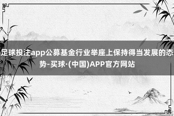 足球投注app公募基金行业举座上保持得当发展的态势-买球·(中国)APP官方网站