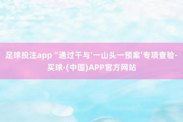 足球投注app“通过干与‘一山头一预案’专项查验-买球·(中国)APP官方网站