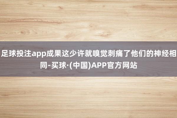 足球投注app成果这少许就嗅觉刺痛了他们的神经相同-买球·(中国)APP官方网站